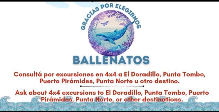 Ballenatos Madryn Puerto Madryn Exterior foto